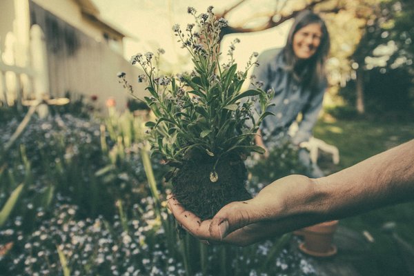 Comment créer une mini-ferme urbaine sur son balcon?