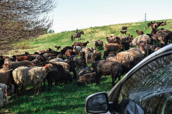 Trouver un médecin de garde rapidement à Mulhouse